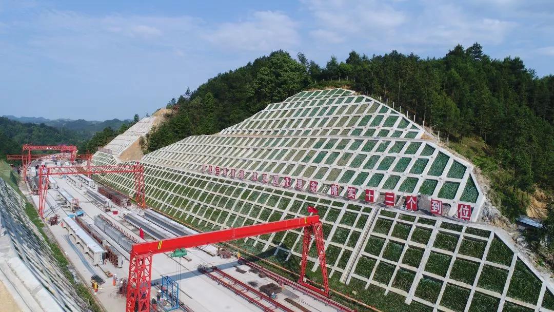 1572397618469155.jpg 1572397618469155.jpg