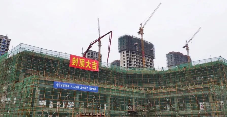 1584060401225428.jpg 1584060401225428.jpg